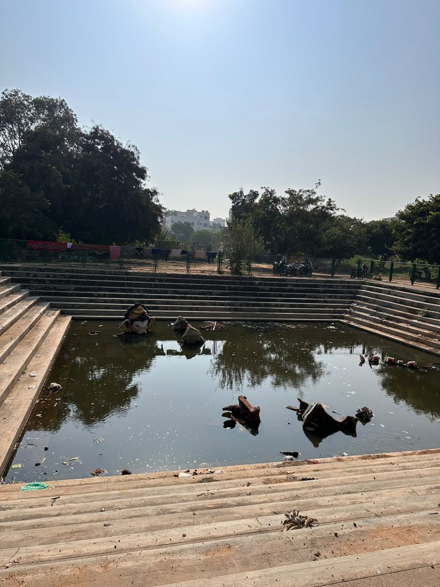 The kalyani, a stepped stone immersion tank, with broken idol remains standing in the water and waste floating on the surface.